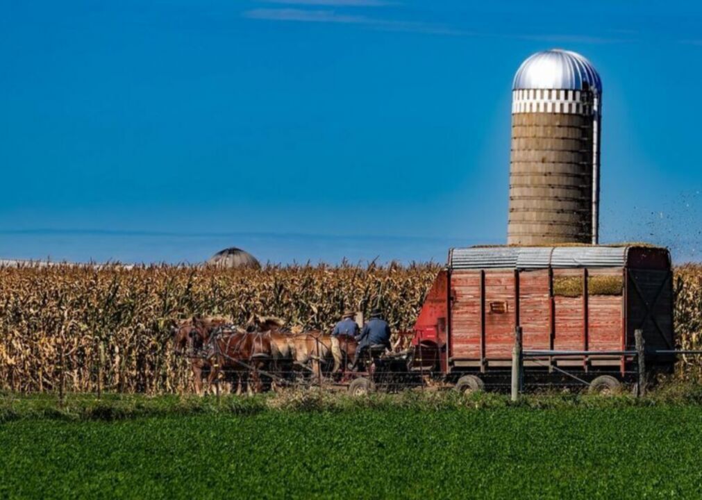 #40. Indiana